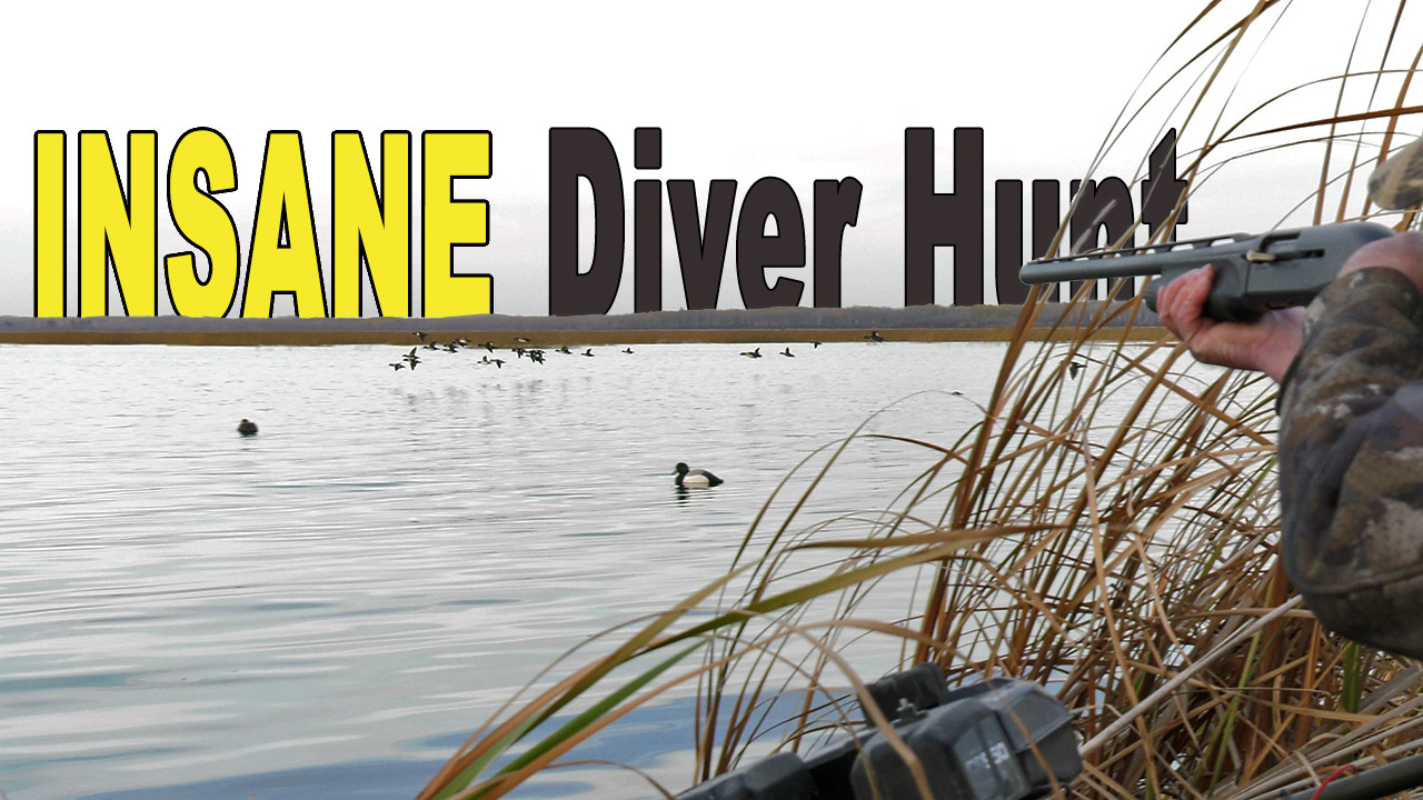Insane Diver Duck Action episode thumbnail
