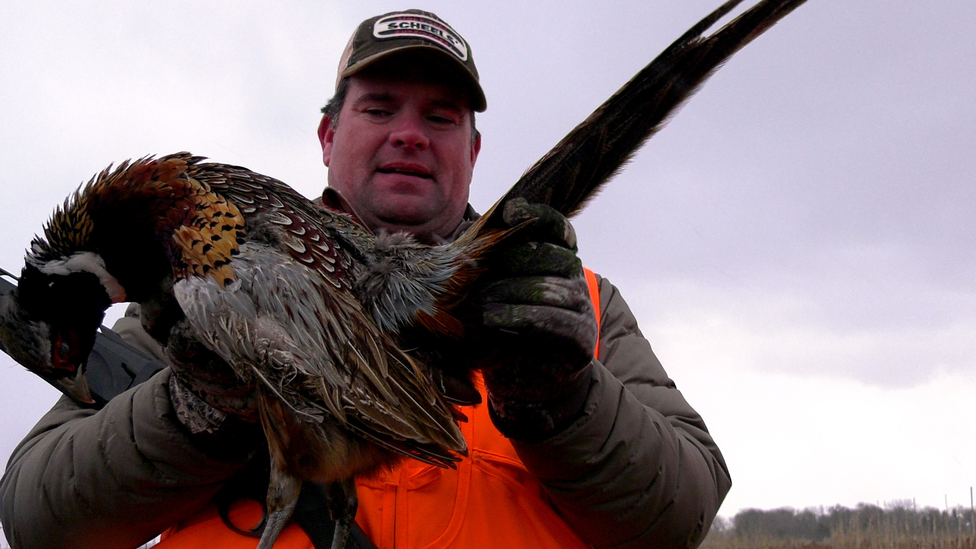 December Pheasant Hunting in South Dakota episode thumbnail