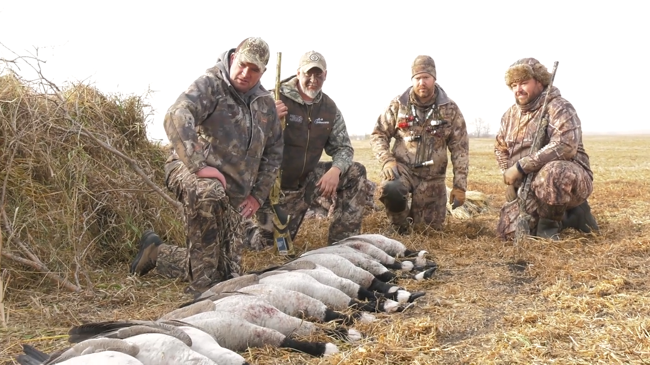 Field Hunting Canada Waterfowl episode thumbnail