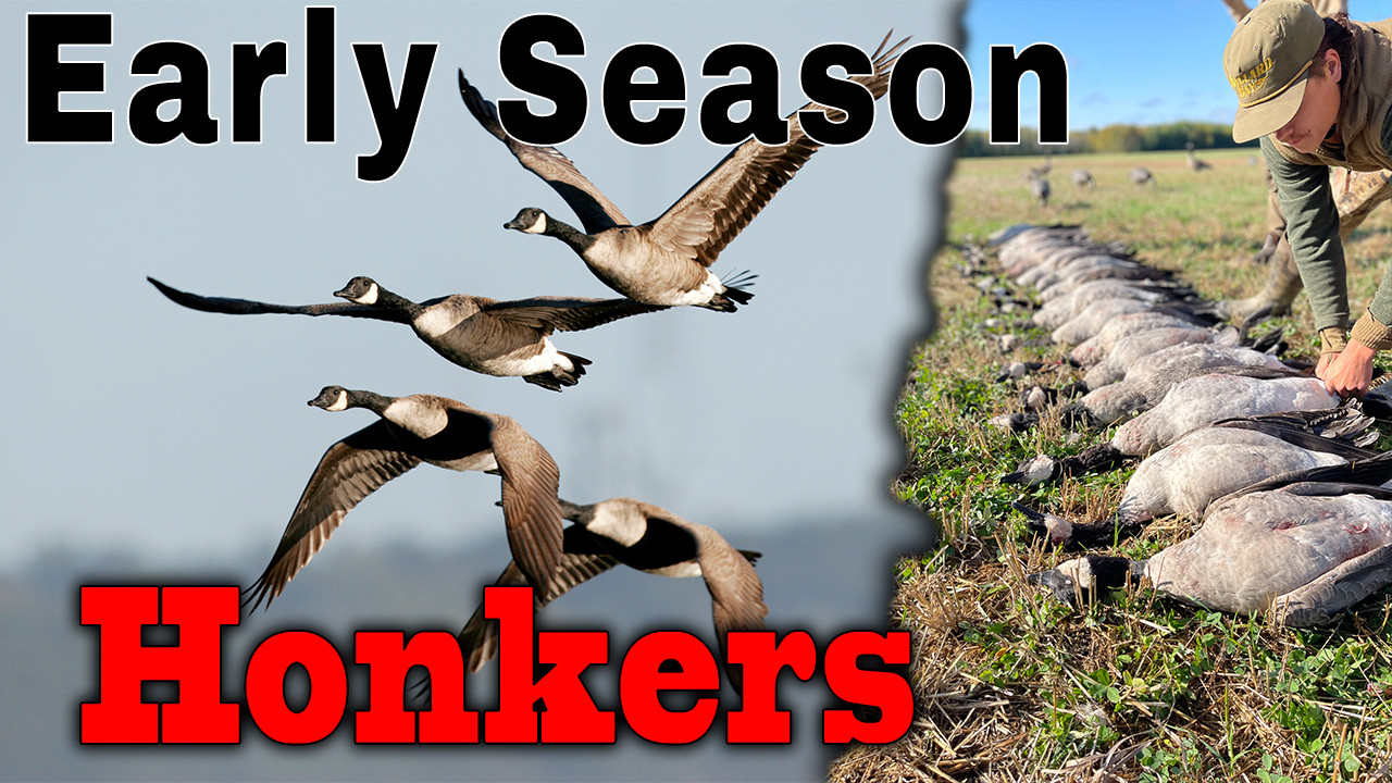Early Season Canada Goose Hunting episode thumbnail