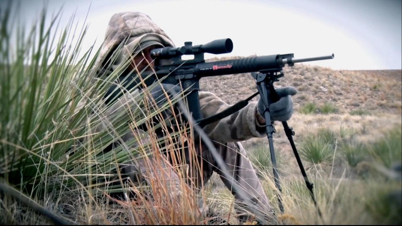 Ponds, Ducks and Curious Coyotes episode thumbnail