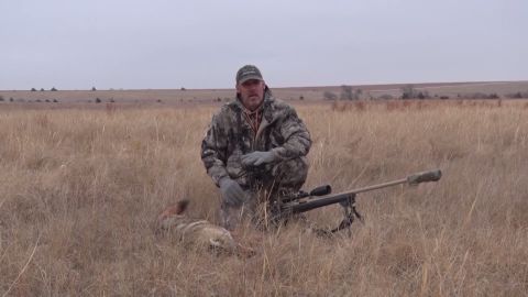 Deer Killers That Kill No More episode thumbnail