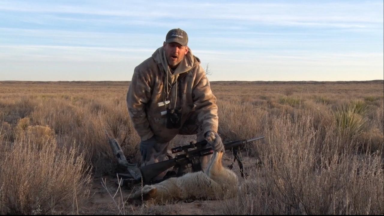 The Old Female Coyote episode thumbnail