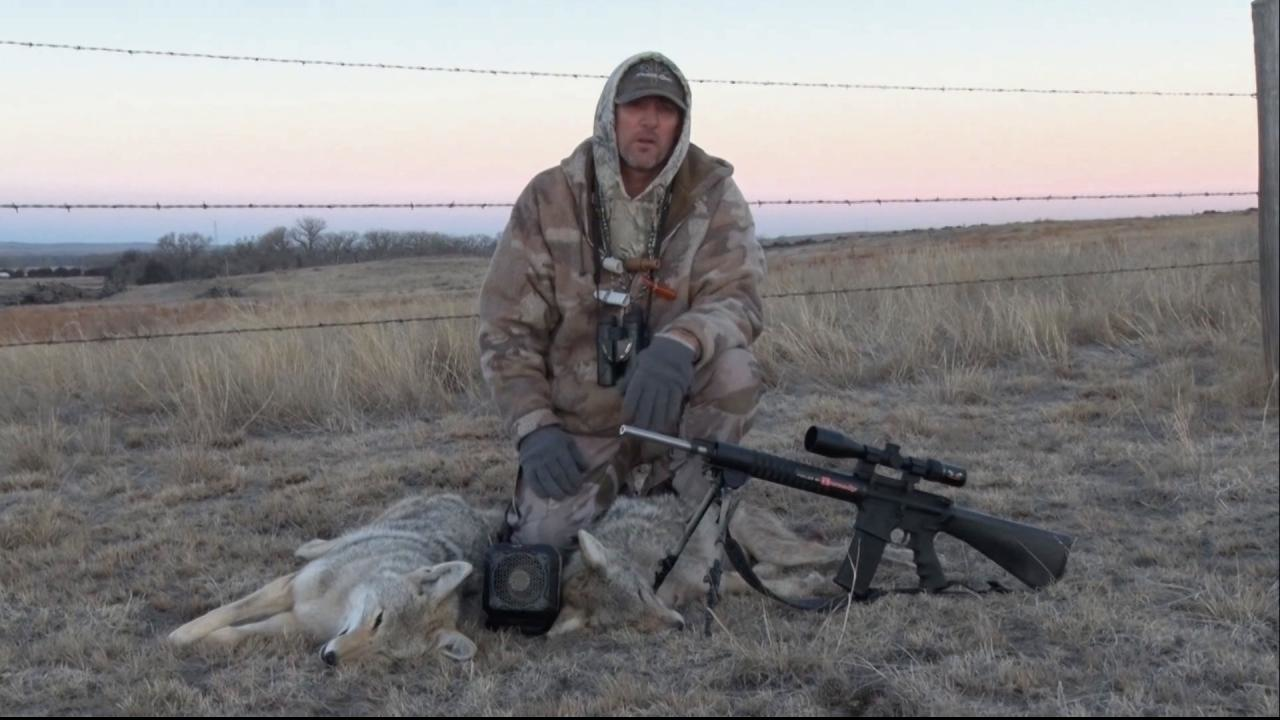 Double Trouble and Fast Reacting Coyotes episode thumbnail