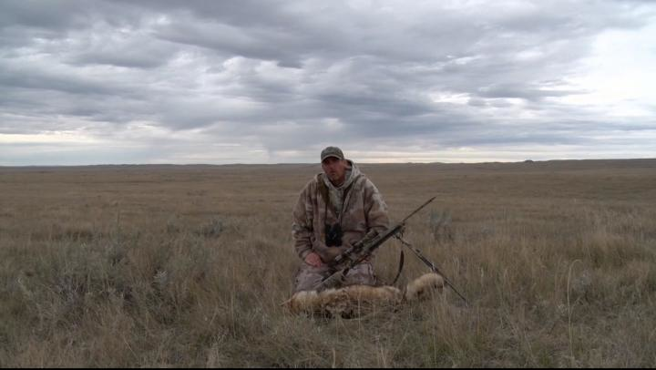 Low Light Big Female in the E1 Reticle episode thumbnail