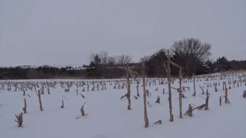 Calling Around the Wintering Whitetail episode thumbnail