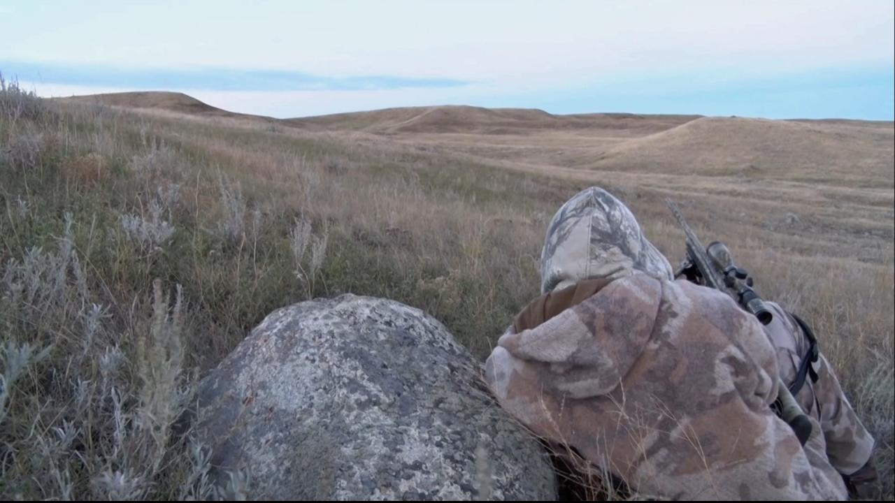 Howling in a Big Female Coyote episode thumbnail