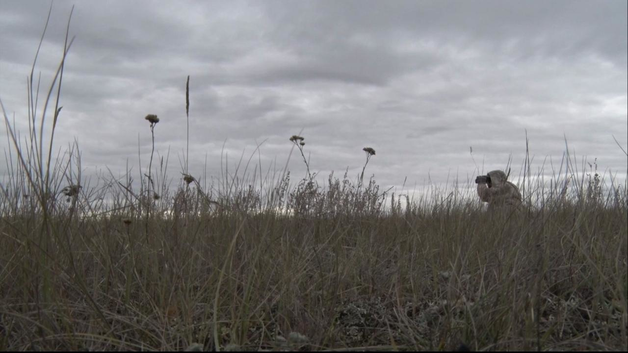 2 Sets of Doubles  Beautiful Coyotes episode thumbnail