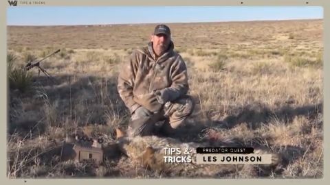 This Call & Patience = Coyote Success episode thumbnail