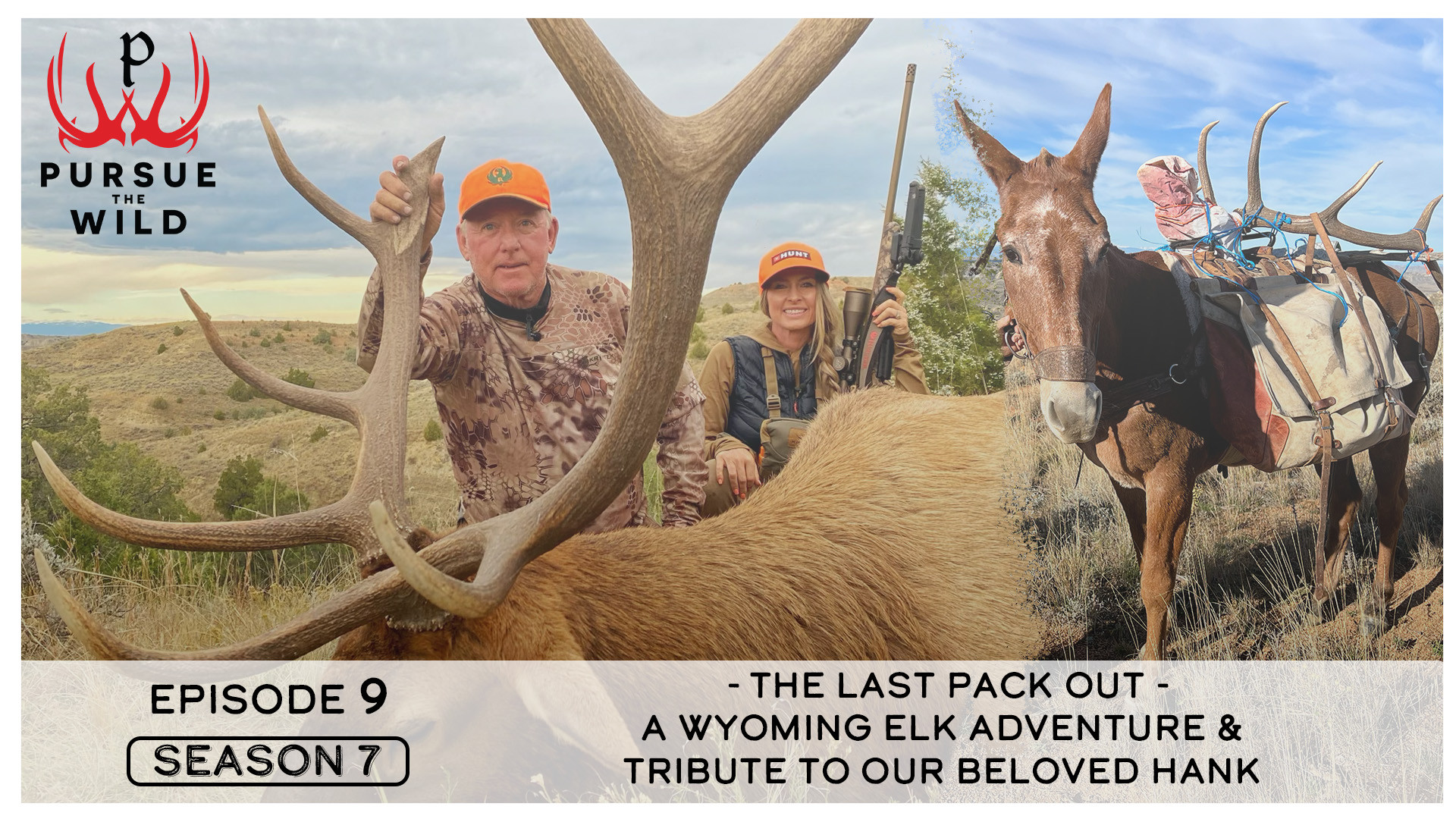 The Last Pack Out: A Wyoming Elk Adventure & Tribute to our Beloved Hank episode thumbnail
