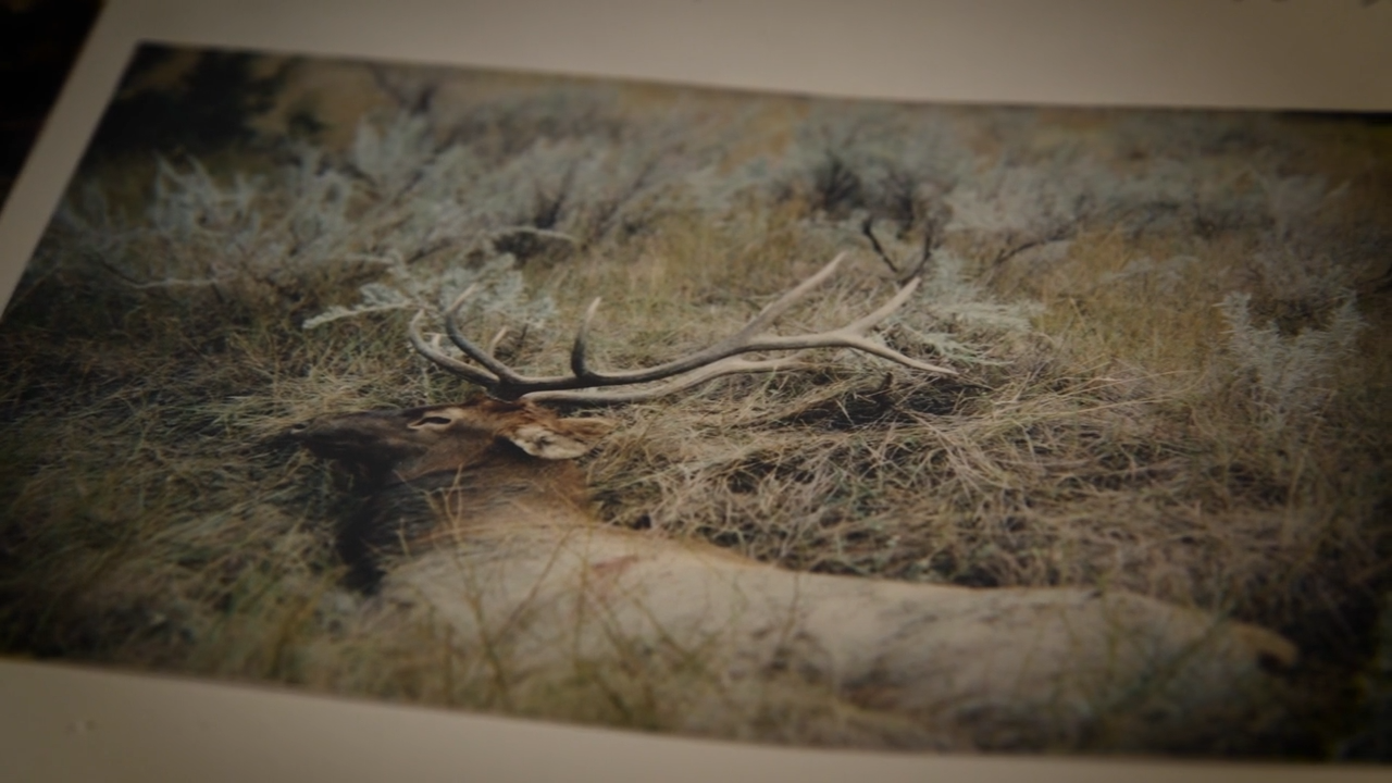 Chasin Dreams episode thumbnail