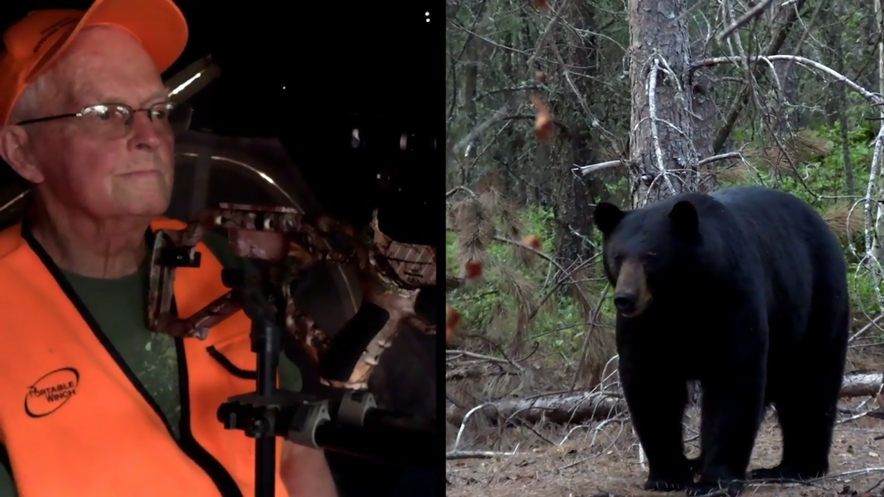 Never Give Up episode thumbnail