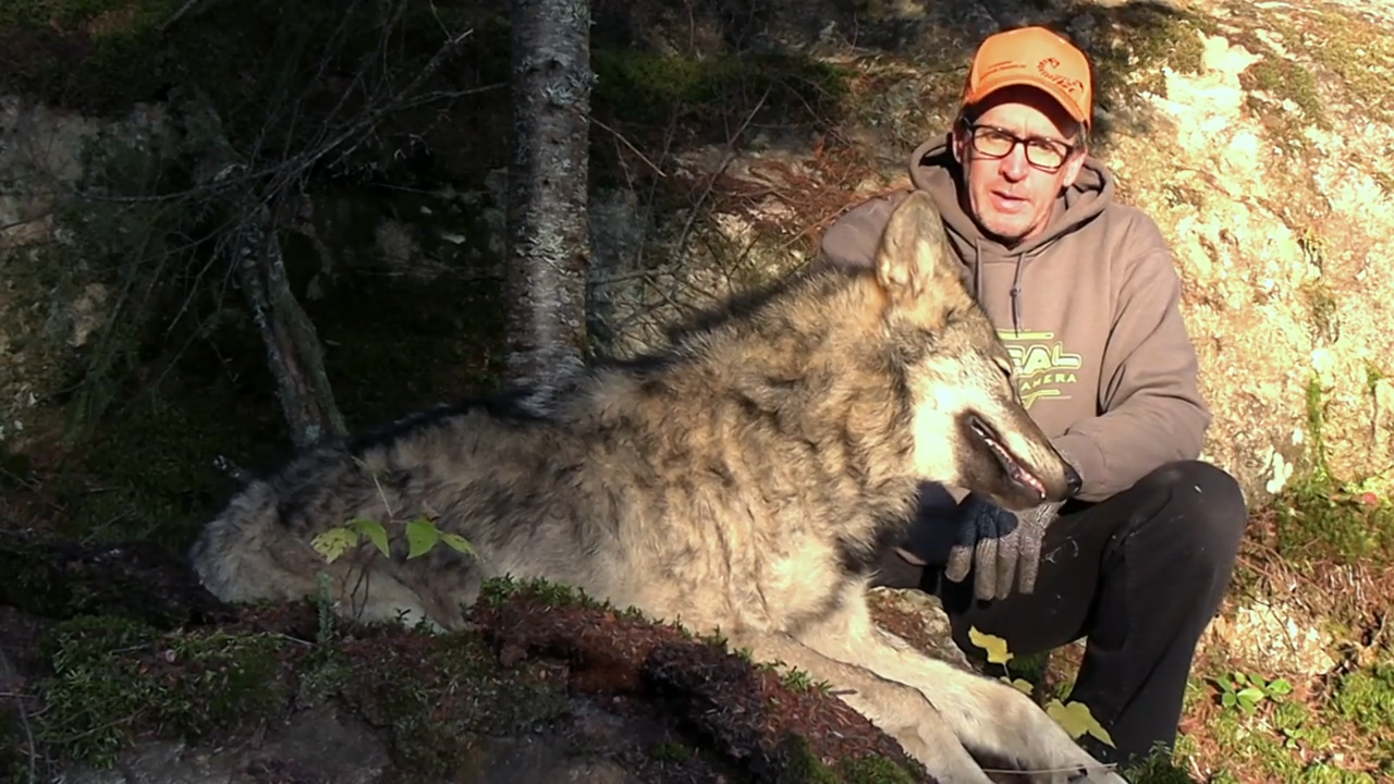 Full Circle episode thumbnail