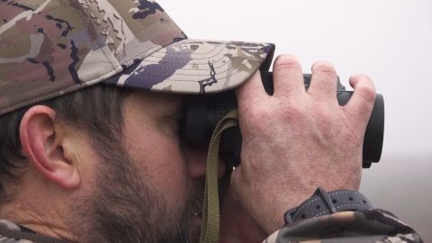 No Country for Old Mulies episode thumbnail