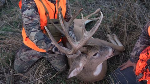 Don't Leave Deer to Find Deer episode thumbnail