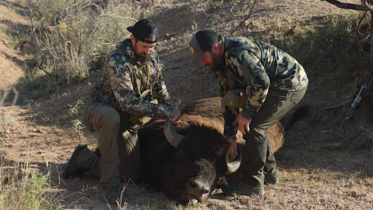 Guy on a Buffalo episode thumbnail