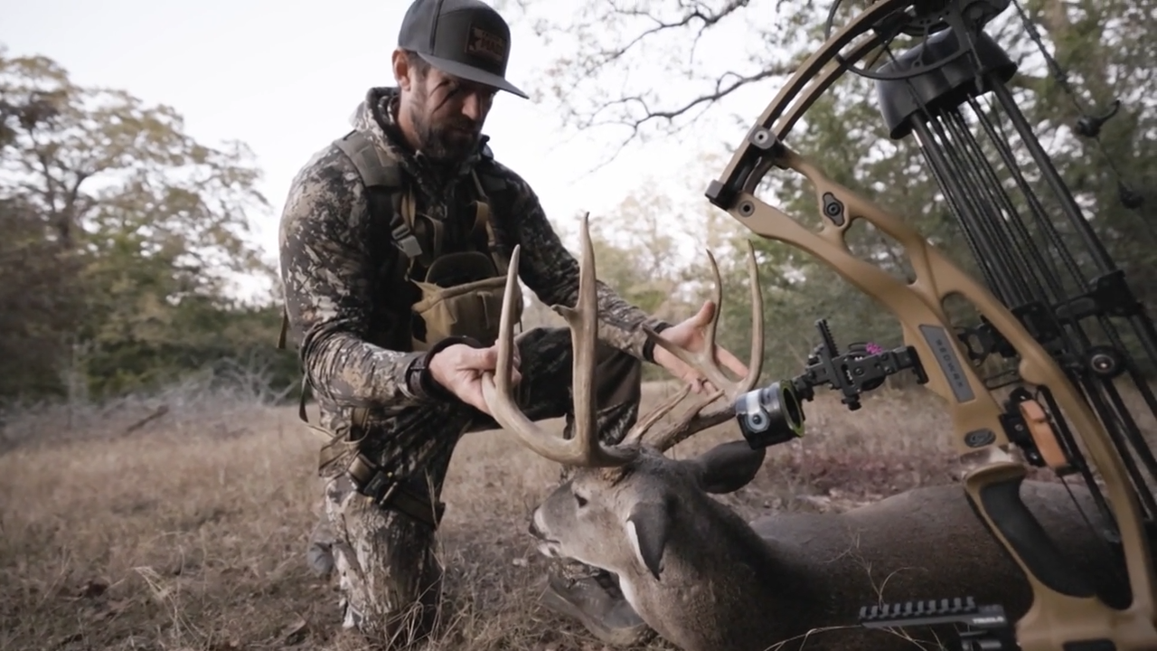 That’s How We Roll in the Monkey Cage episode thumbnail