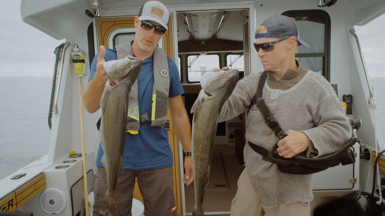 Electric Black Cod episode thumbnail