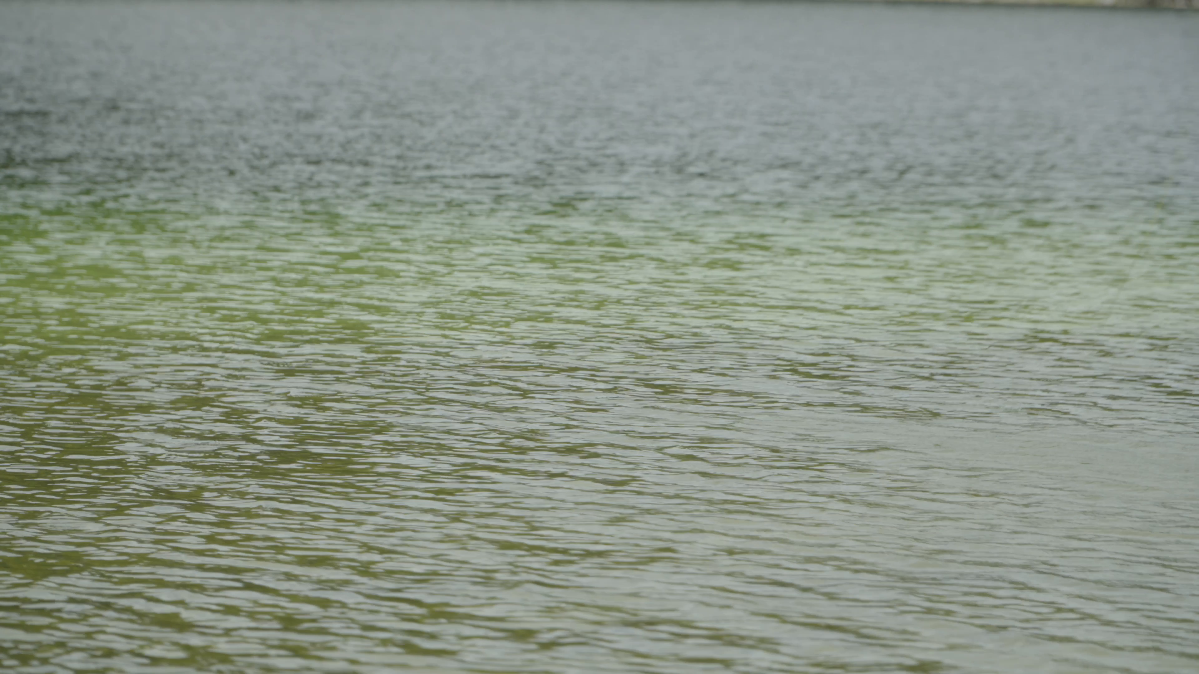 Cariboo Stillwater with Lone Butte Sporting Goods episode thumbnail