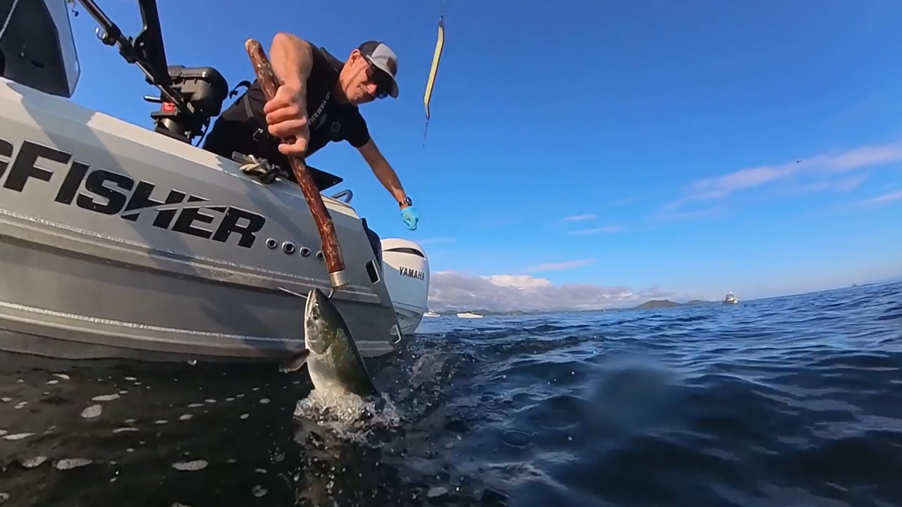 Tofino SFI Best Practices episode thumbnail