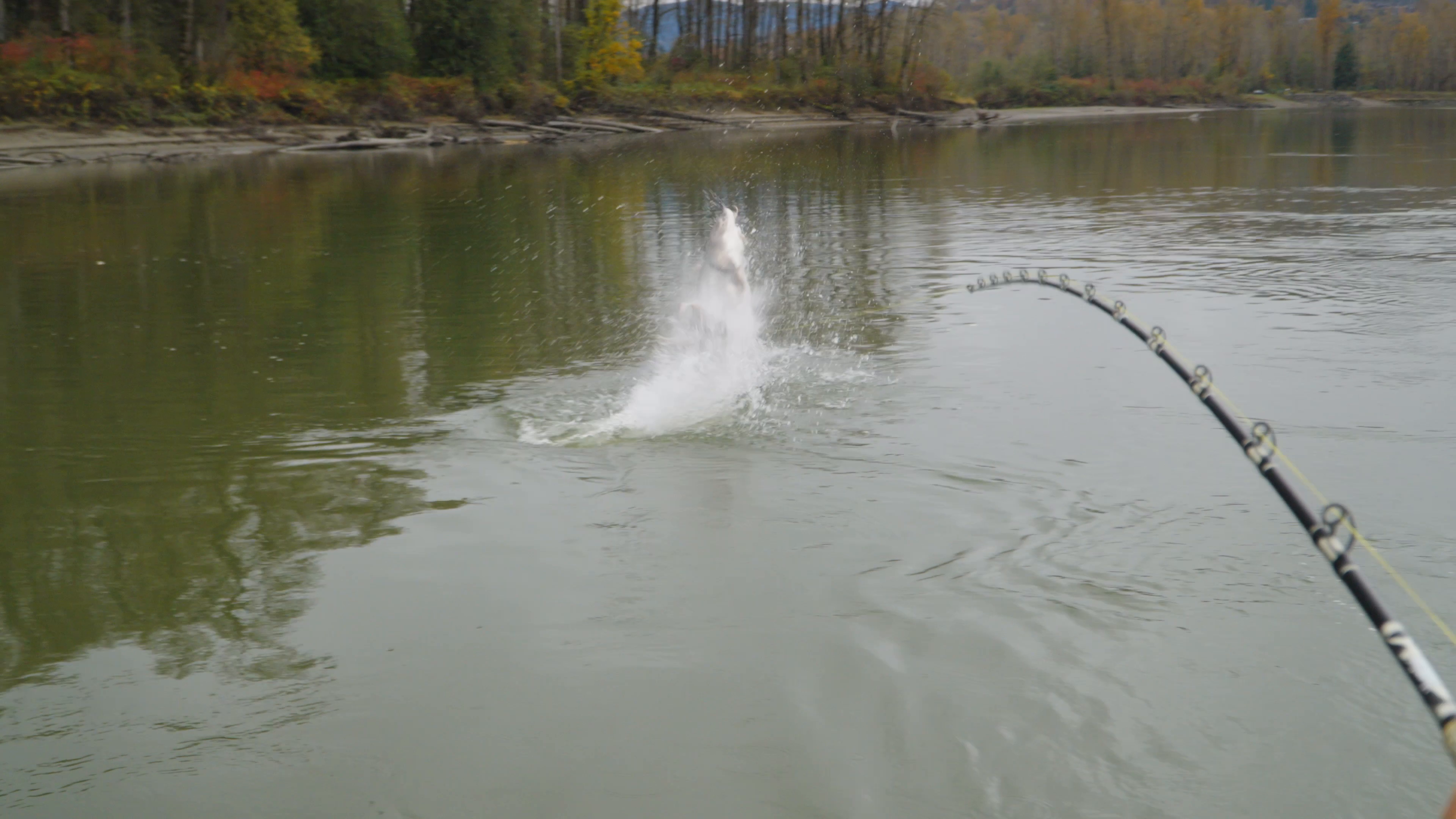 Fall River Fishing episode thumbnail