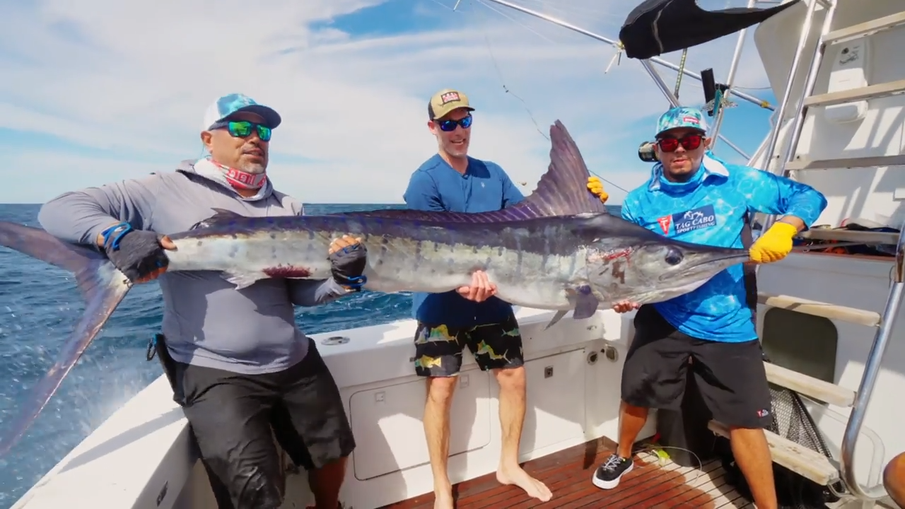Cabo San Marlin episode thumbnail