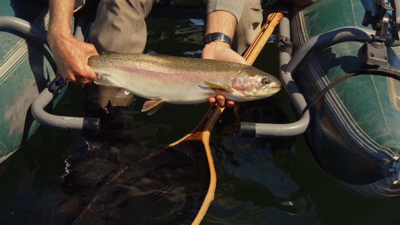 Northern Lights Lodge episode thumbnail