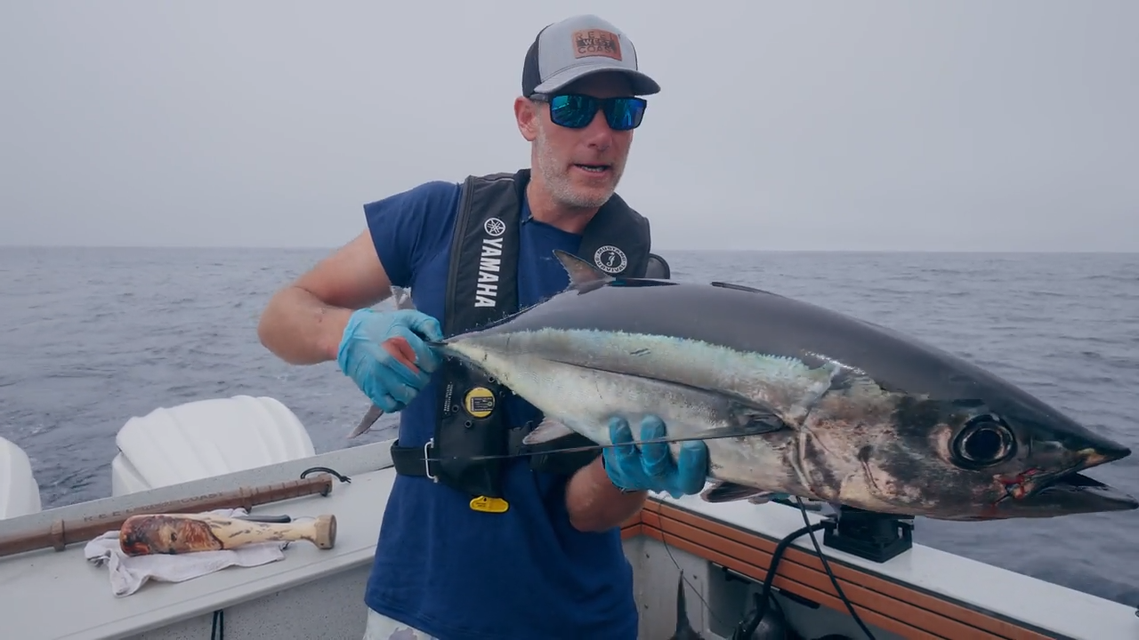 Solo Tuna in Tofino episode thumbnail
