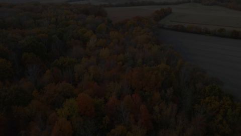 Live Pre-Rut Deer Hun ting Action Across The Midwest episode thumbnail