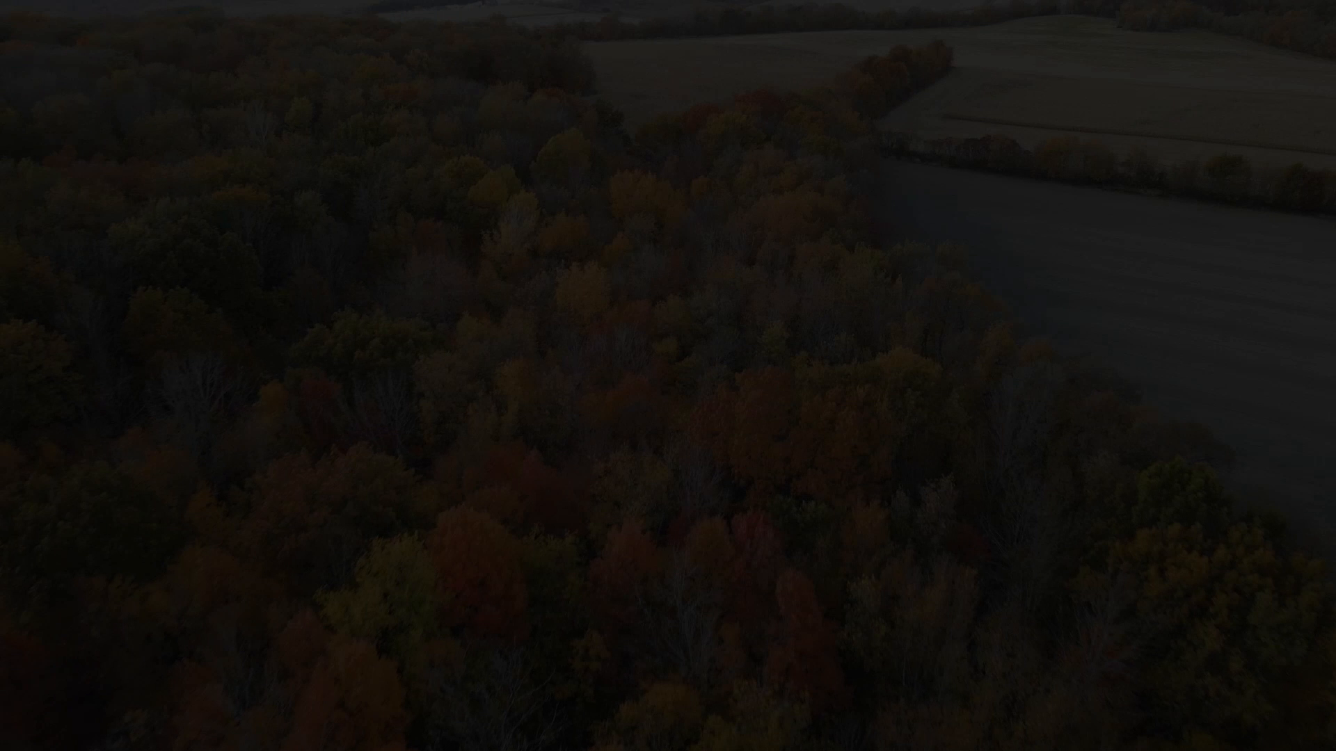 Live Whitetail Rut Action Across The Midwest - Part 1 episode thumbnail