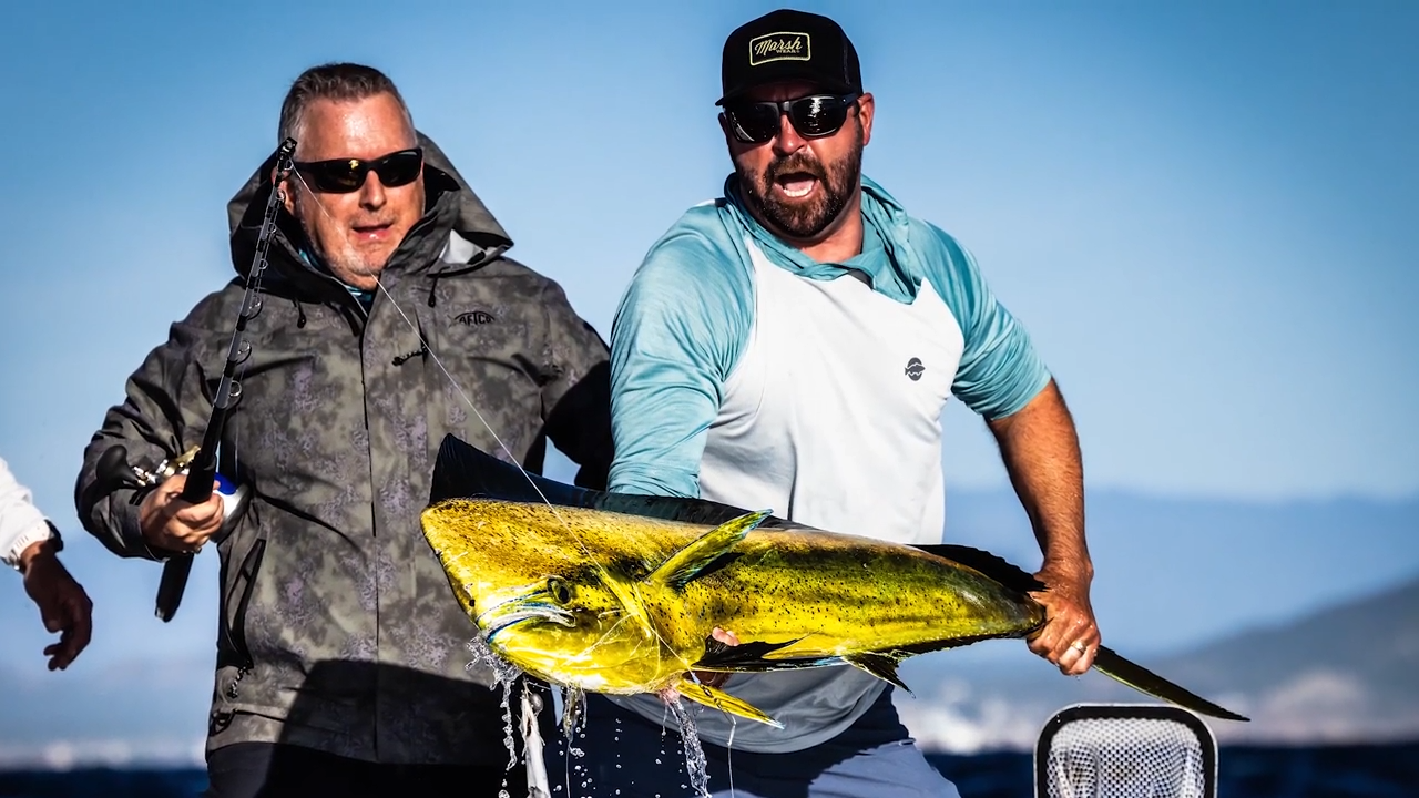 Cabo Dolphin episode thumbnail