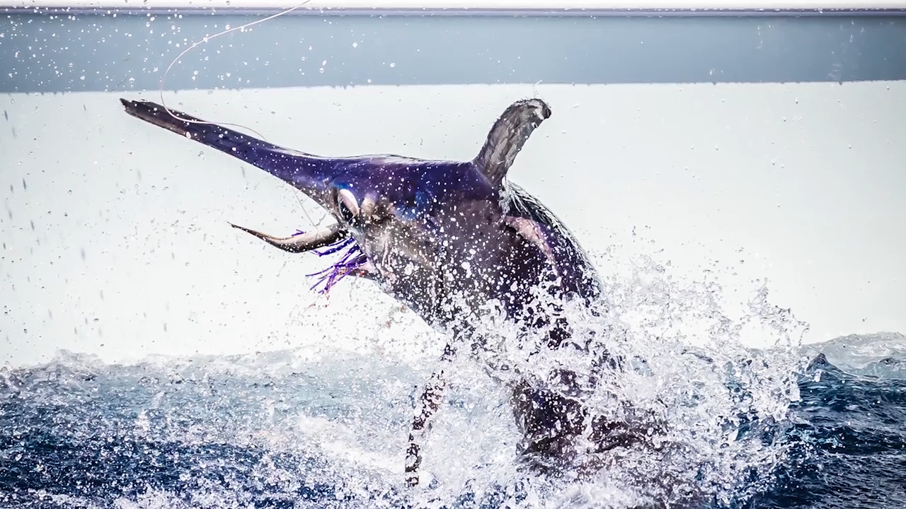 Swords episode thumbnail