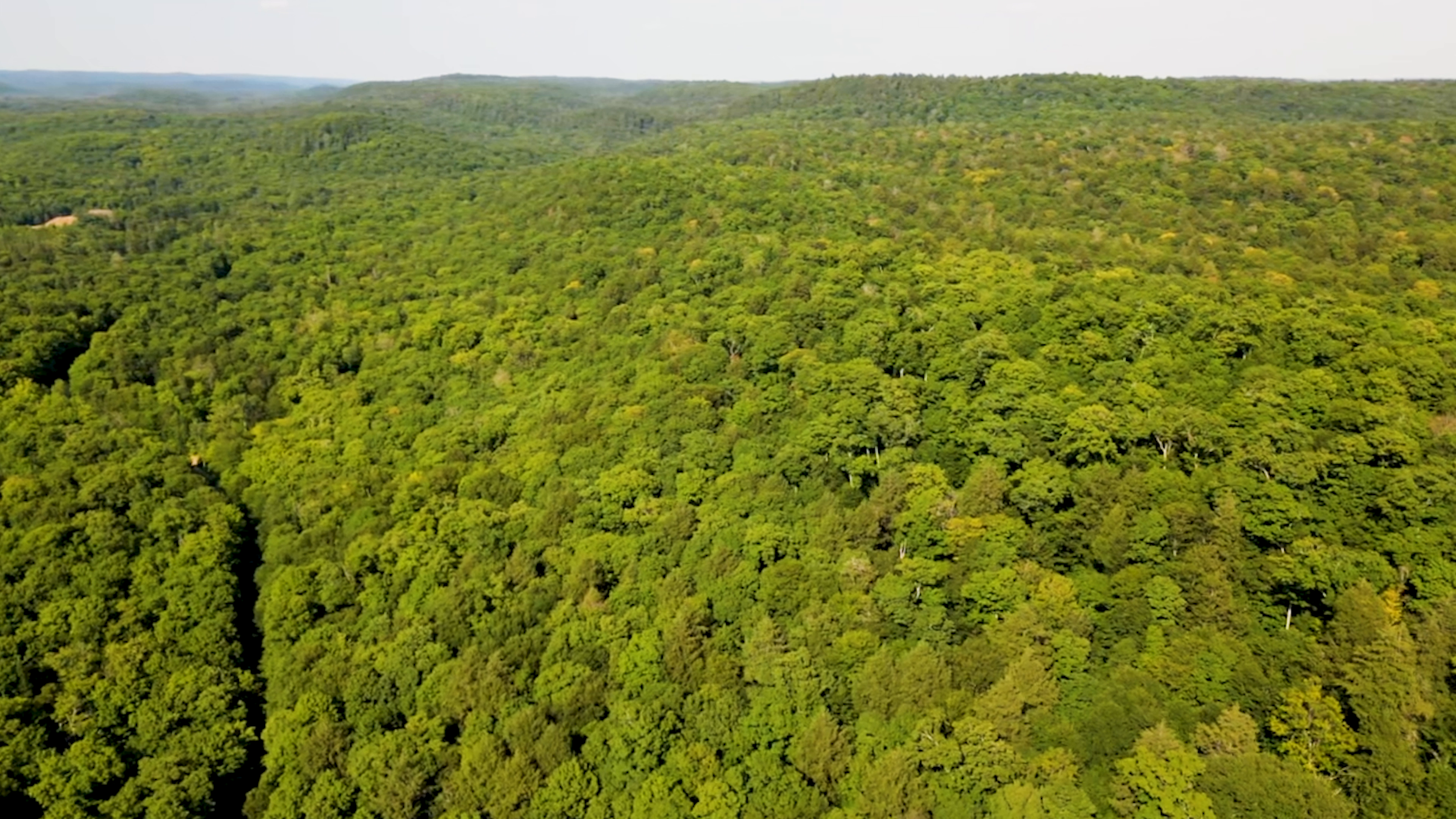 Deprived Senses episode thumbnail