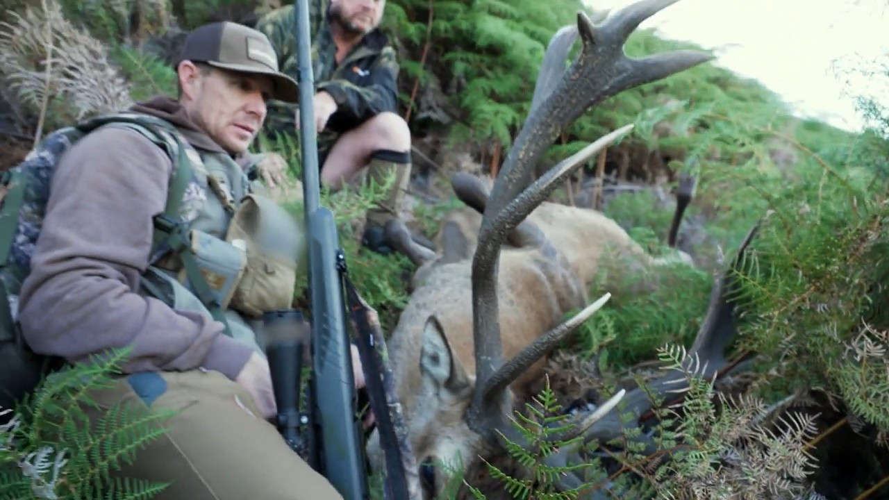 Best of New Zealand episode thumbnail