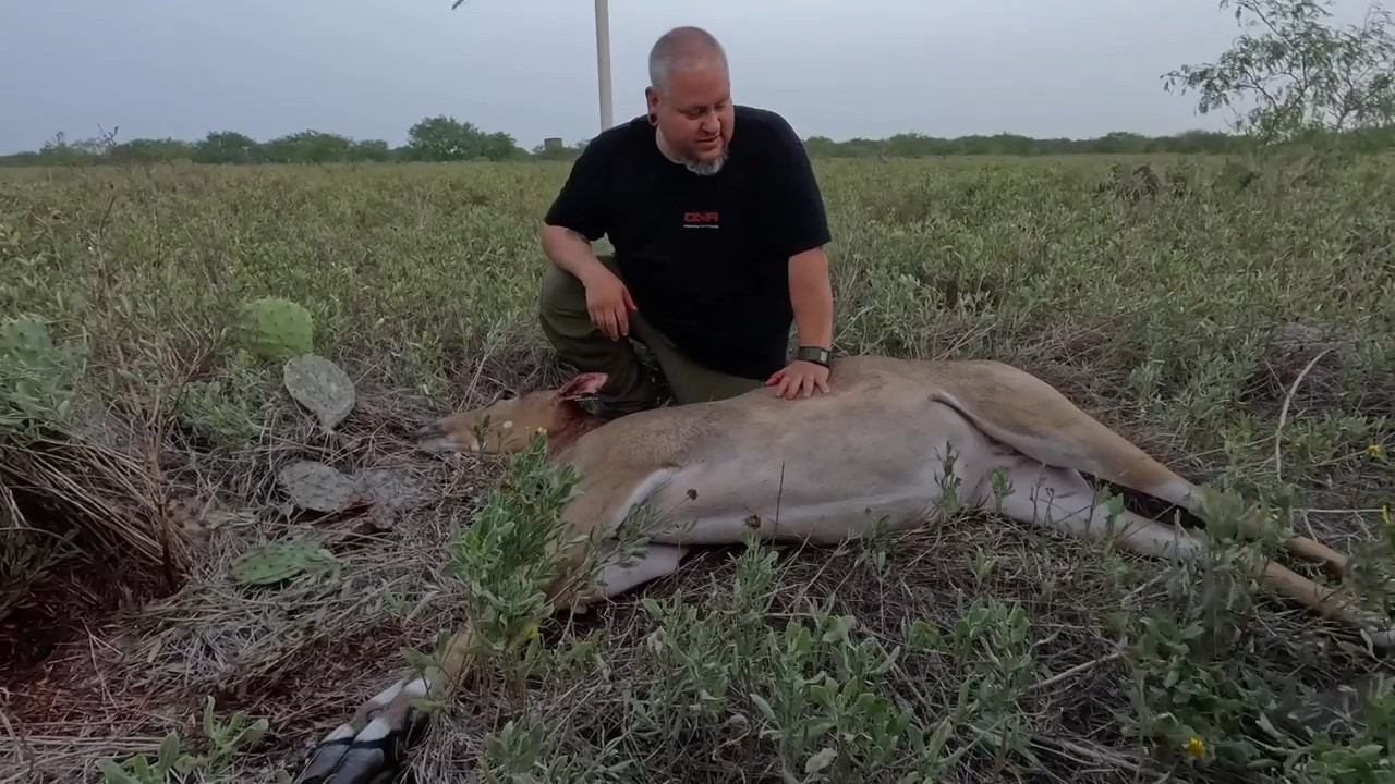 Free Range Nilgai in South Texas - Part 2 episode thumbnail