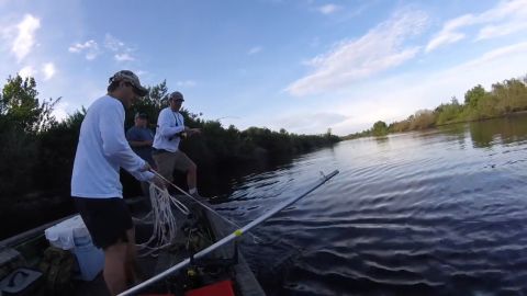 Alligator Hunting with Hunt Regs App - Part 1 episode thumbnail