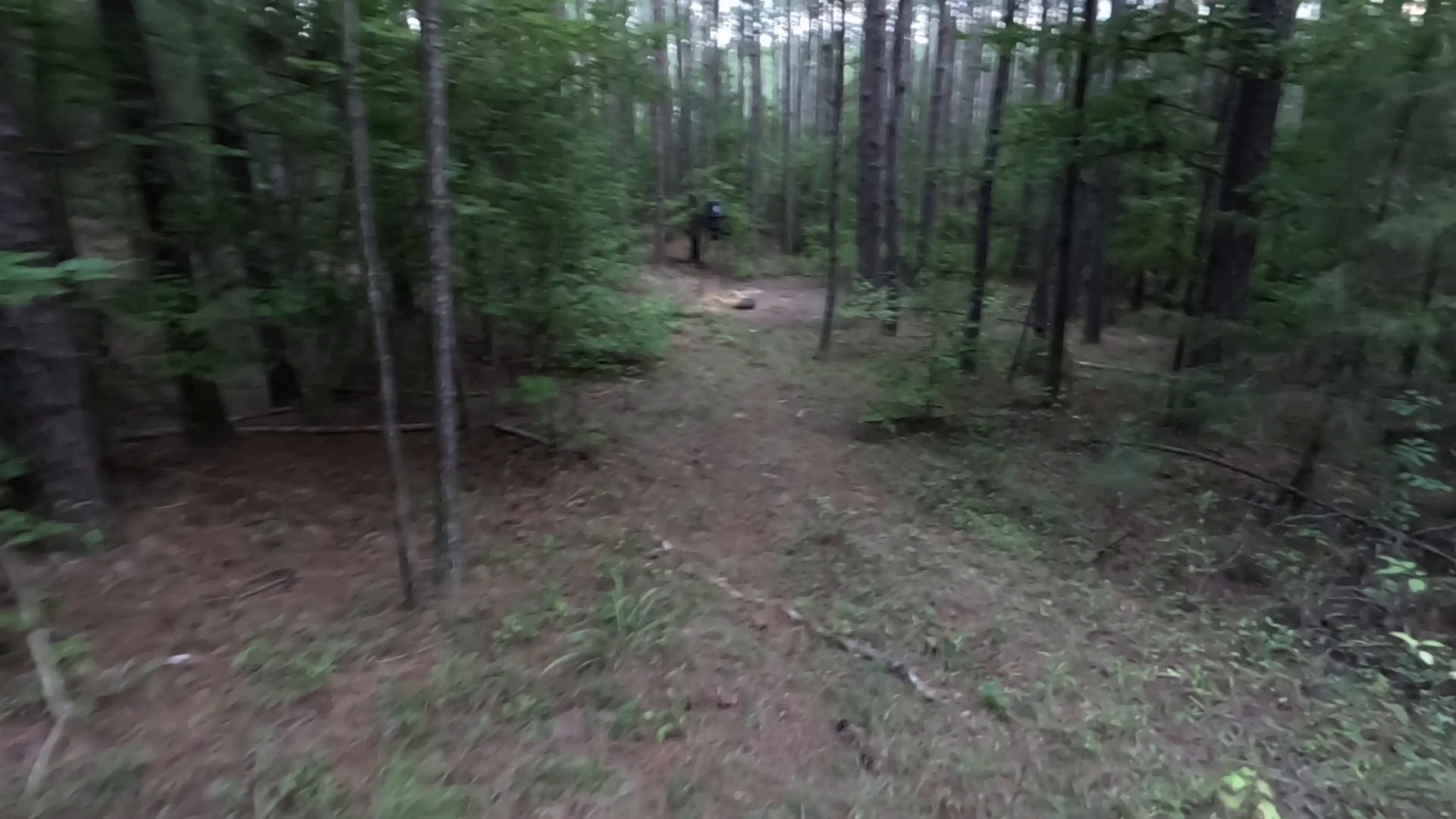 Kash's First Wild Hog & Whitetail Buck episode thumbnail
