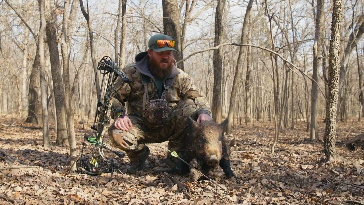 Swine Pursuit episode thumbnail