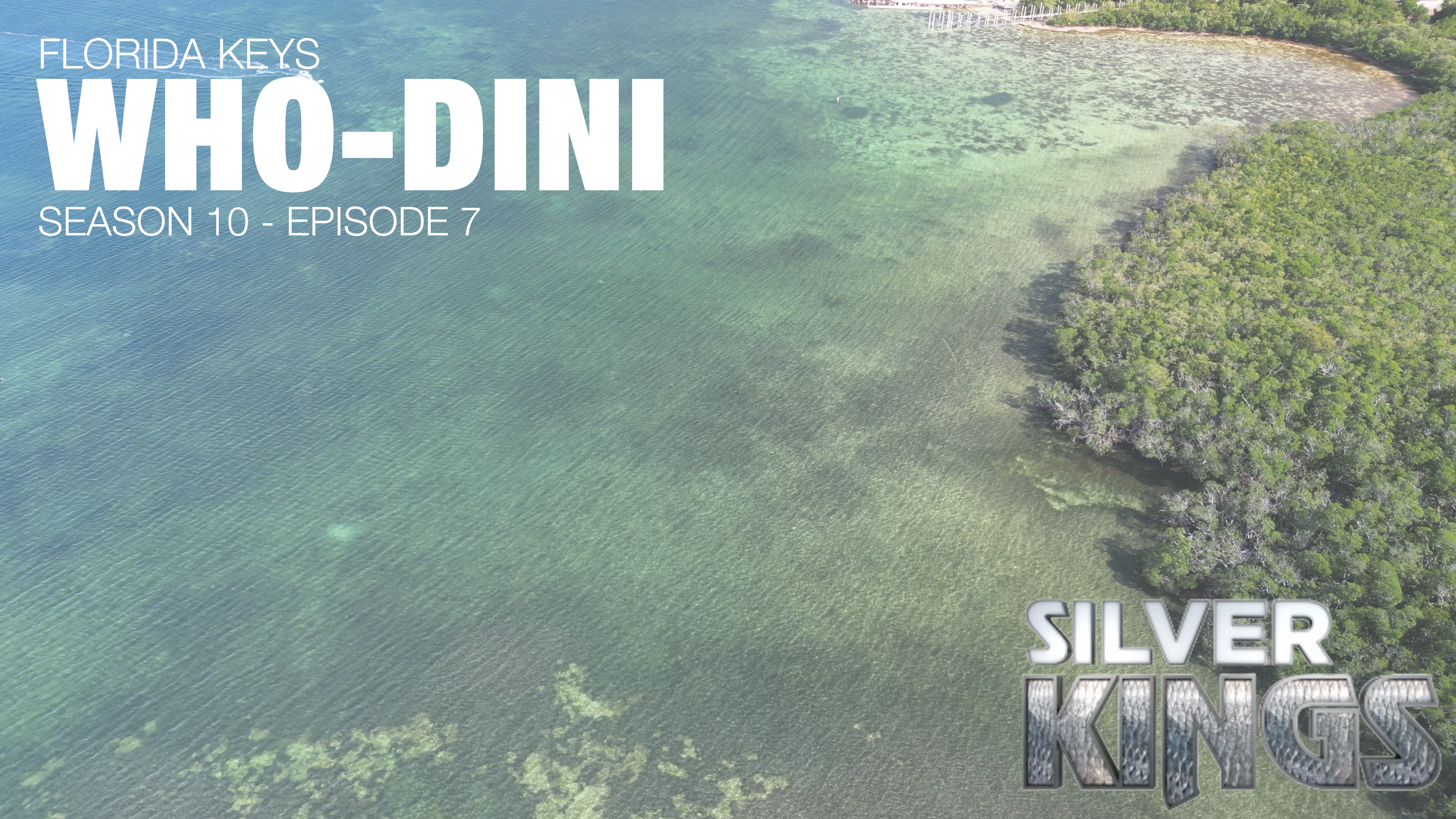 Who Dini episode thumbnail