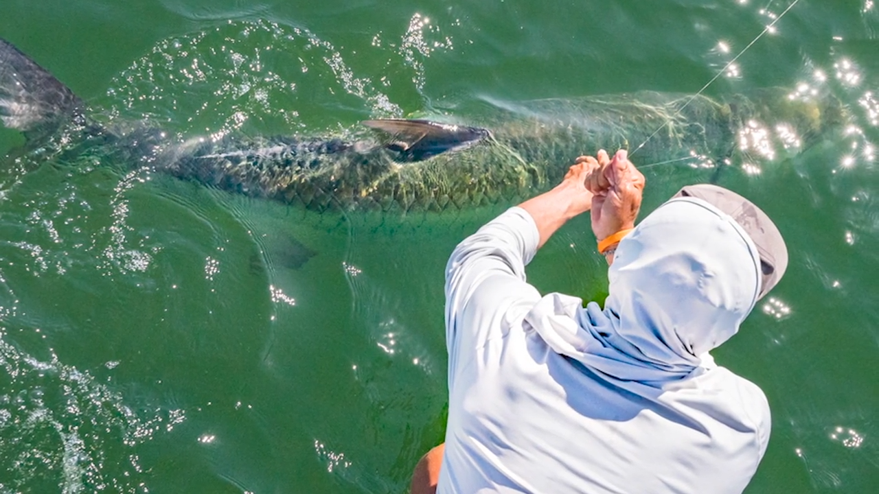 Tarpon Obsessed episode thumbnail