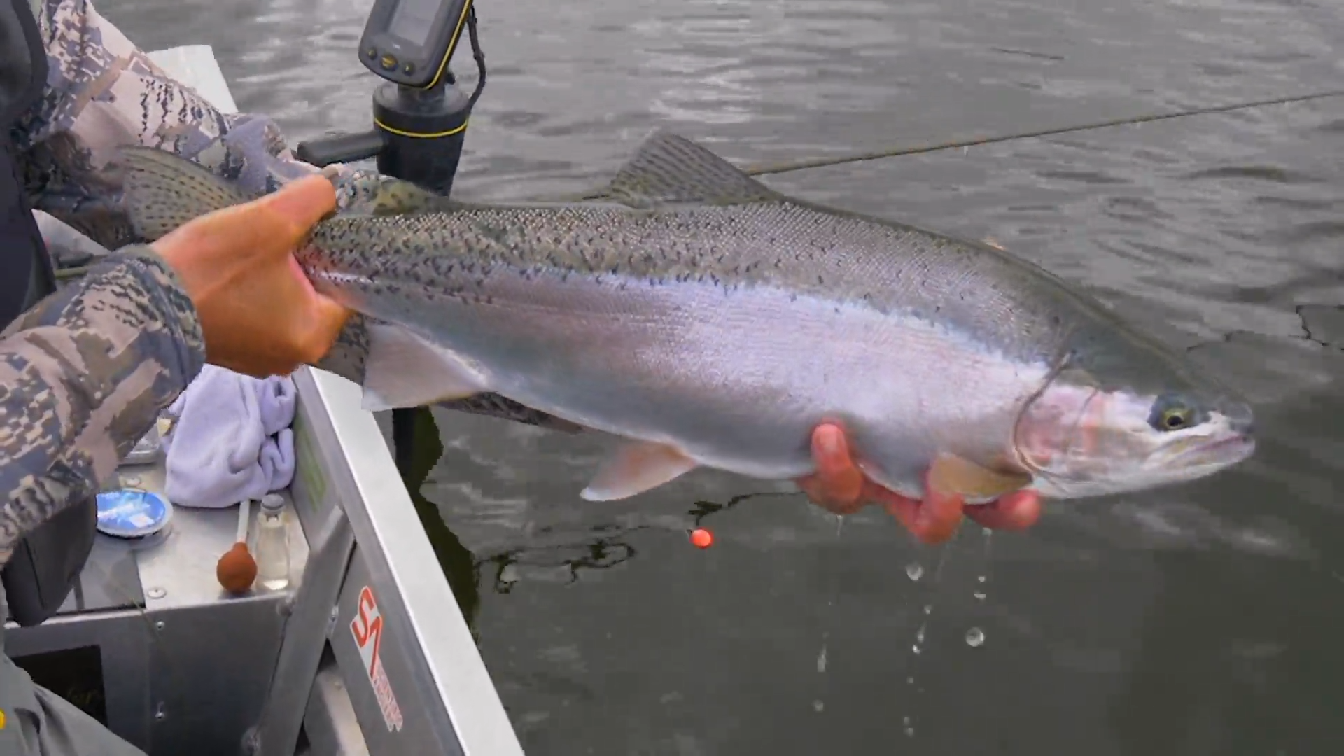 Stump Lake Chironomids episode thumbnail