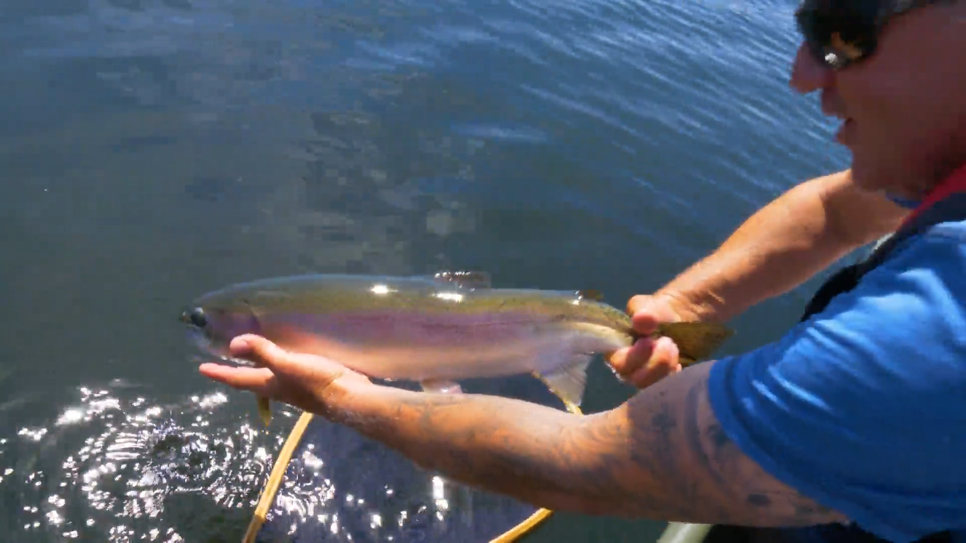 Damsels with Kathy Ruddick episode thumbnail