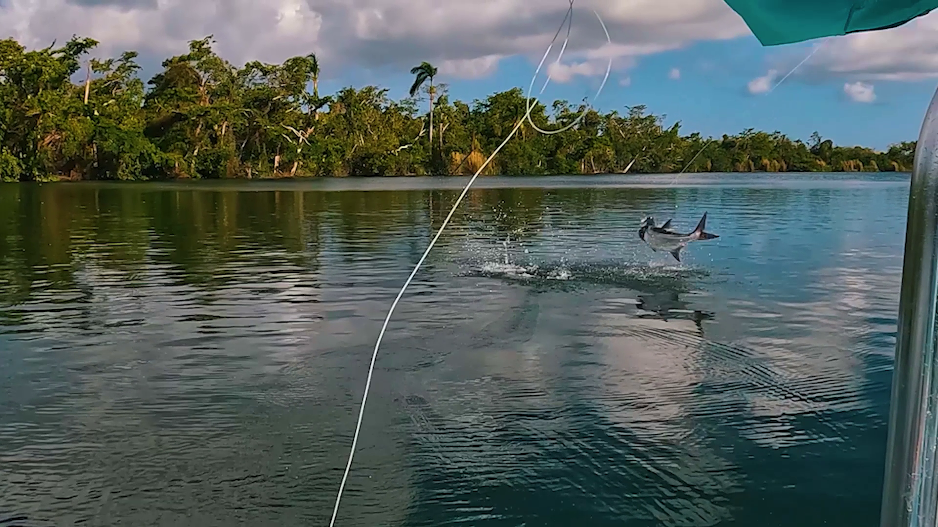 Spring on Dragon Lake - Part Two episode thumbnail