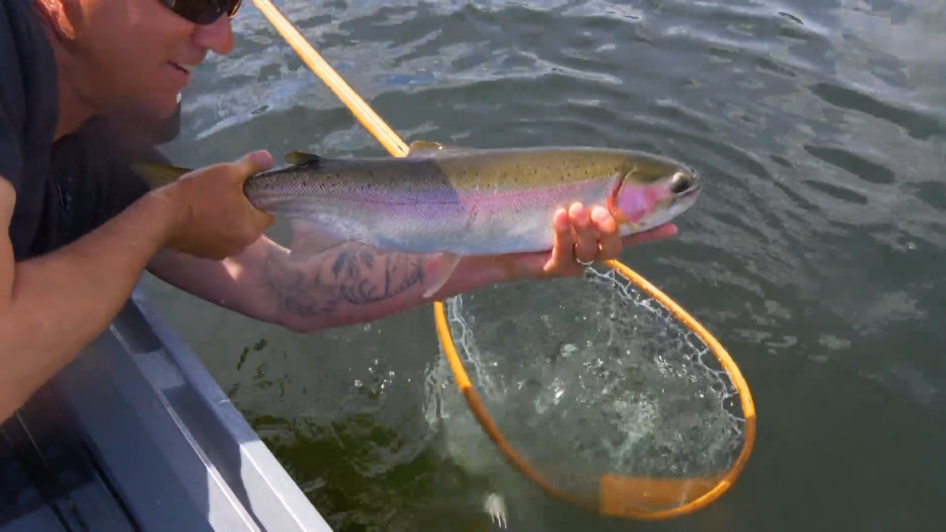 Shallow Water Chironomids episode thumbnail