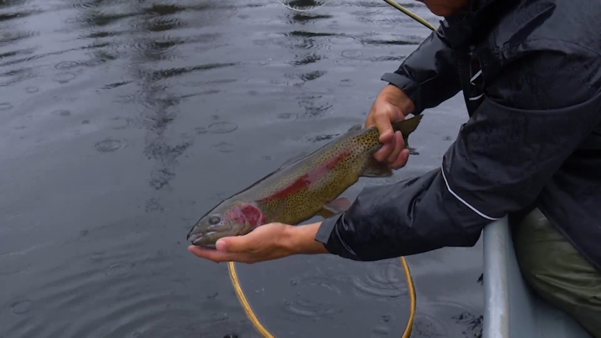 Seven Half Diamond Ranch episode thumbnail