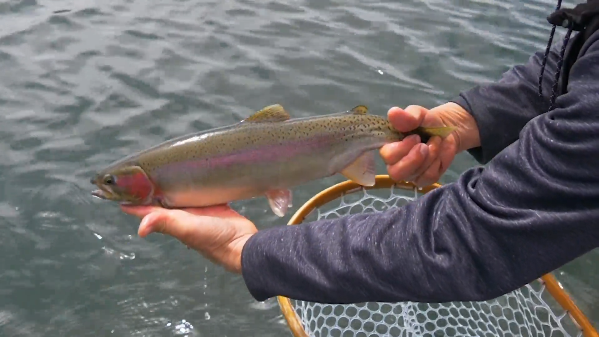 Chironomid Tactics episode thumbnail