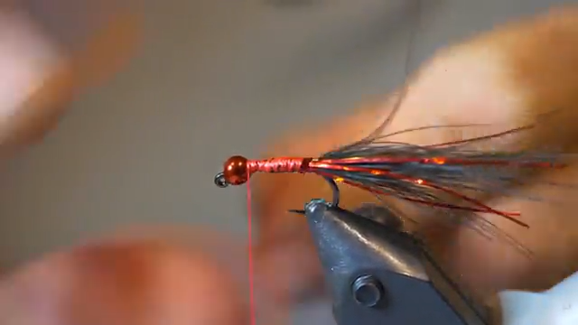 Fly Fishing the Red Dancer Leech episode thumbnail