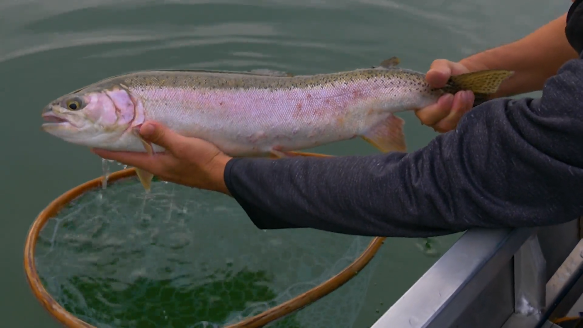 Fly Fishing Sheridan Lake - Part 1 episode thumbnail