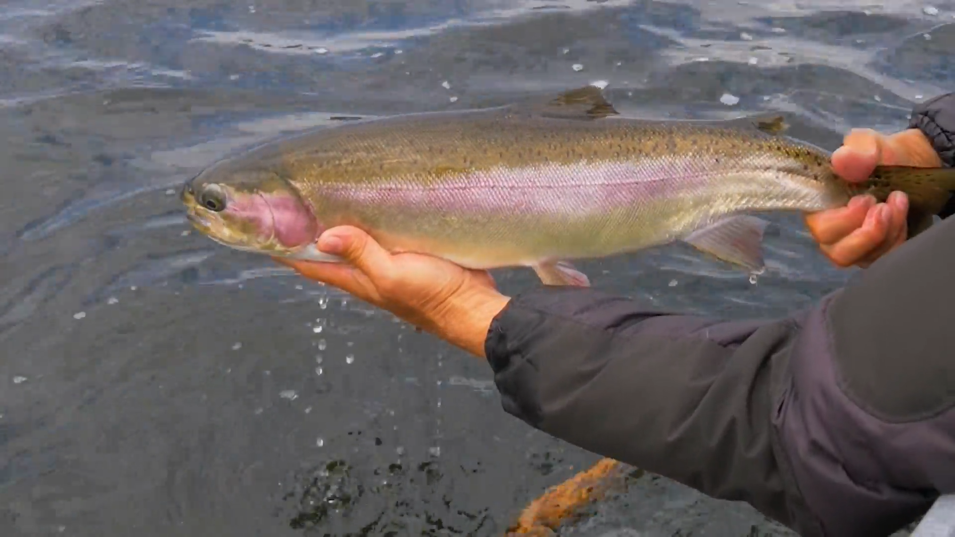 Fly Fishing the Weed Beds episode thumbnail