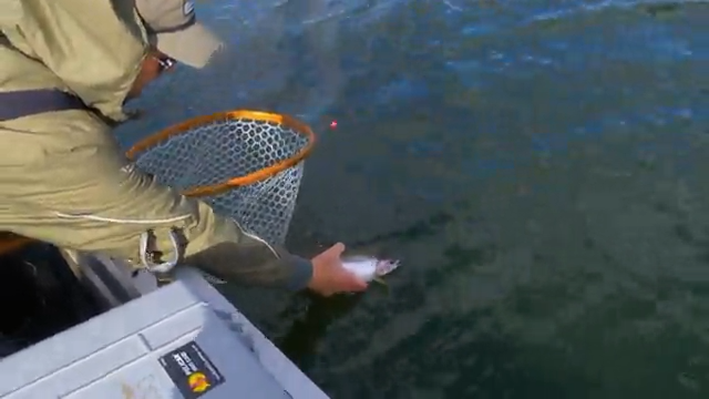 Fall on Stump Lake episode thumbnail